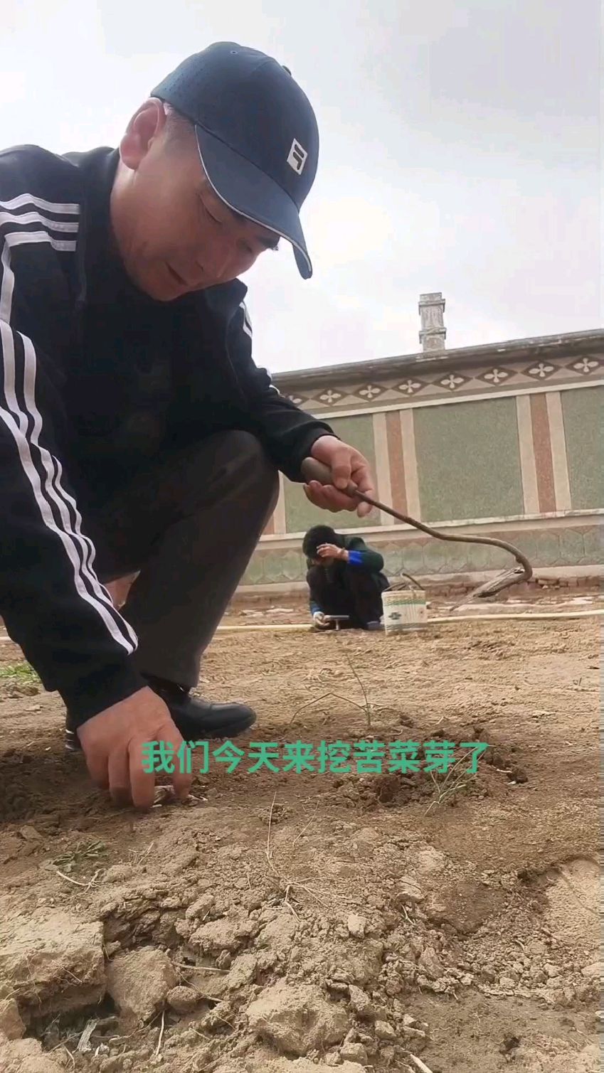 我和马大姐出来挖野菜