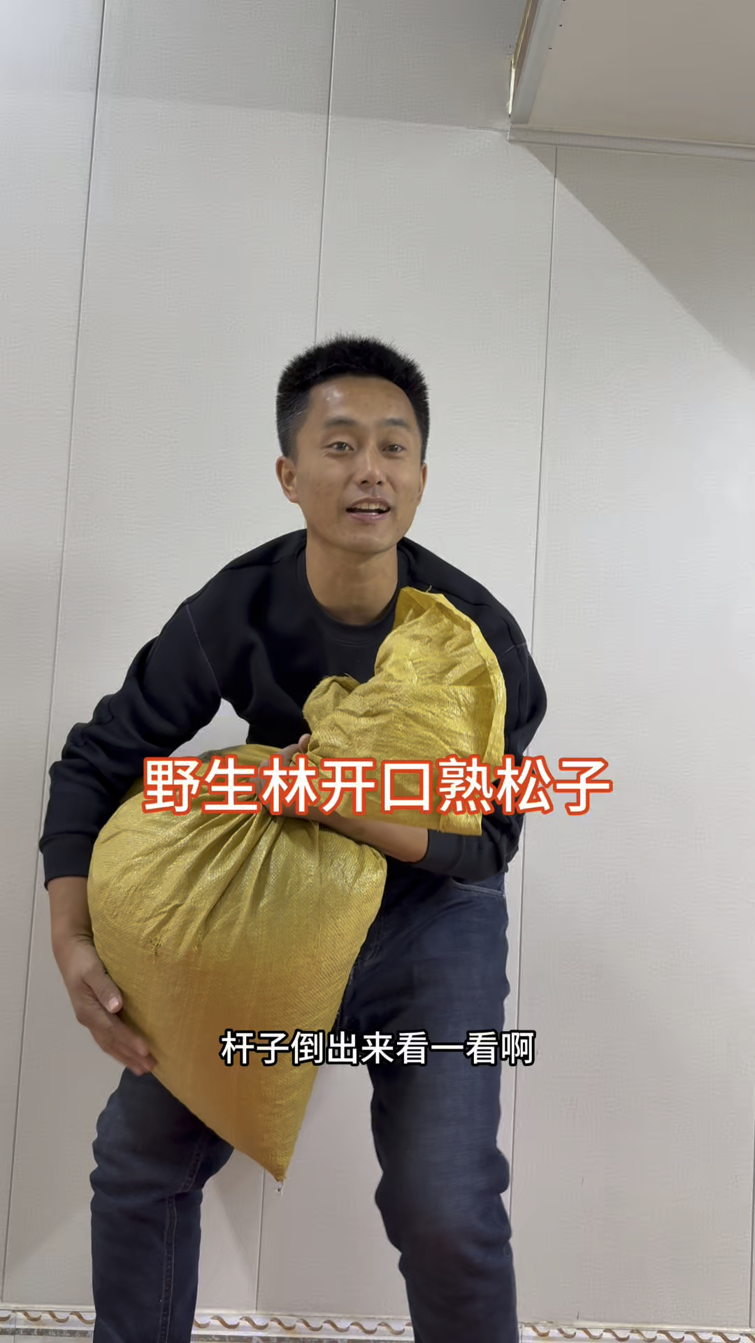 野生林大颗粒开口松子