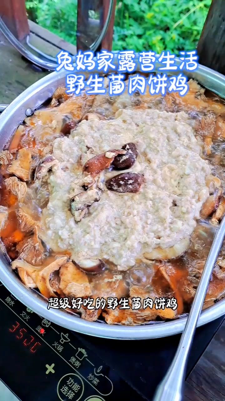 兔妈家露营生活，野生菌肉饼鸡
