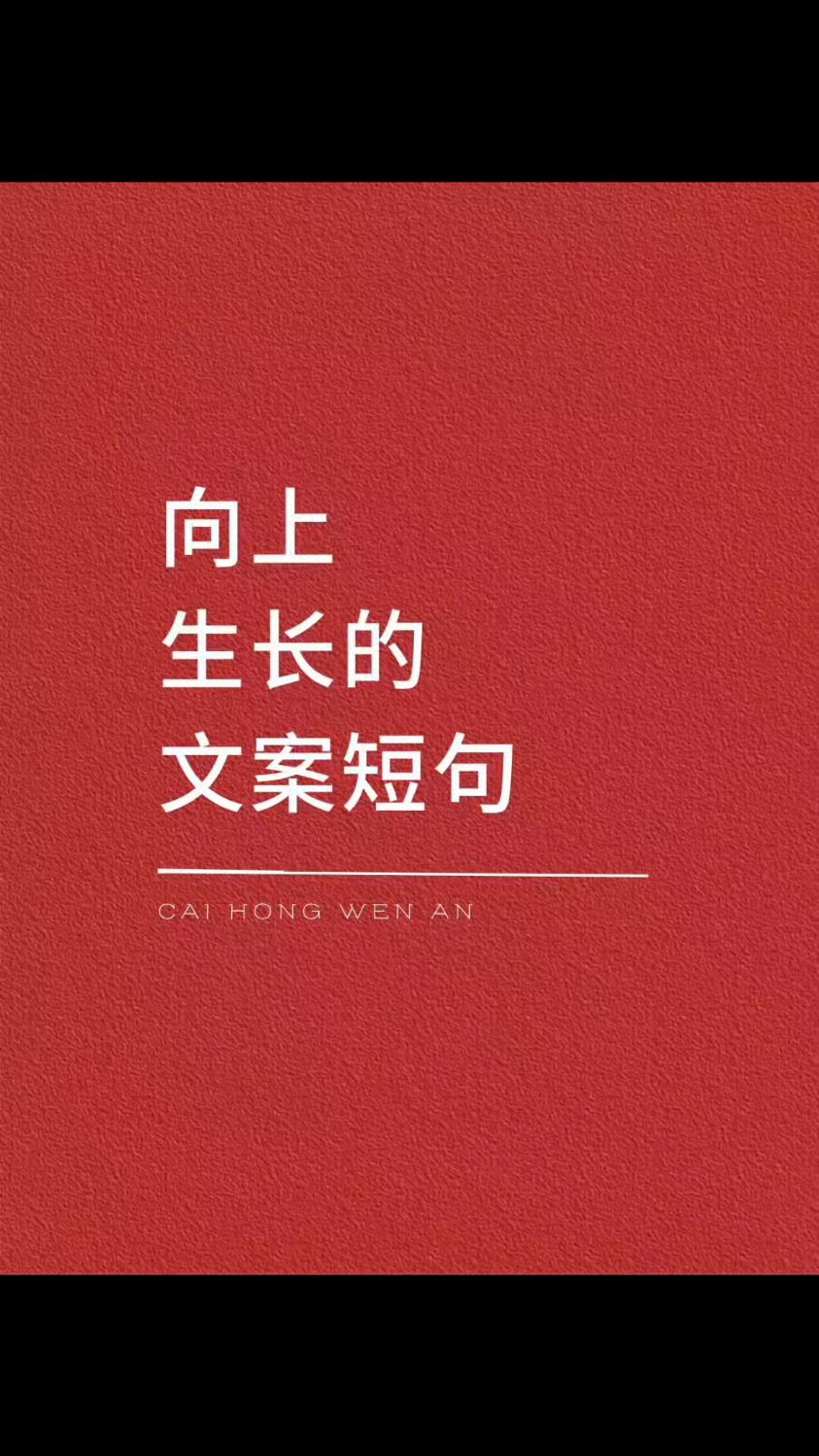 向上生长的文案短句~