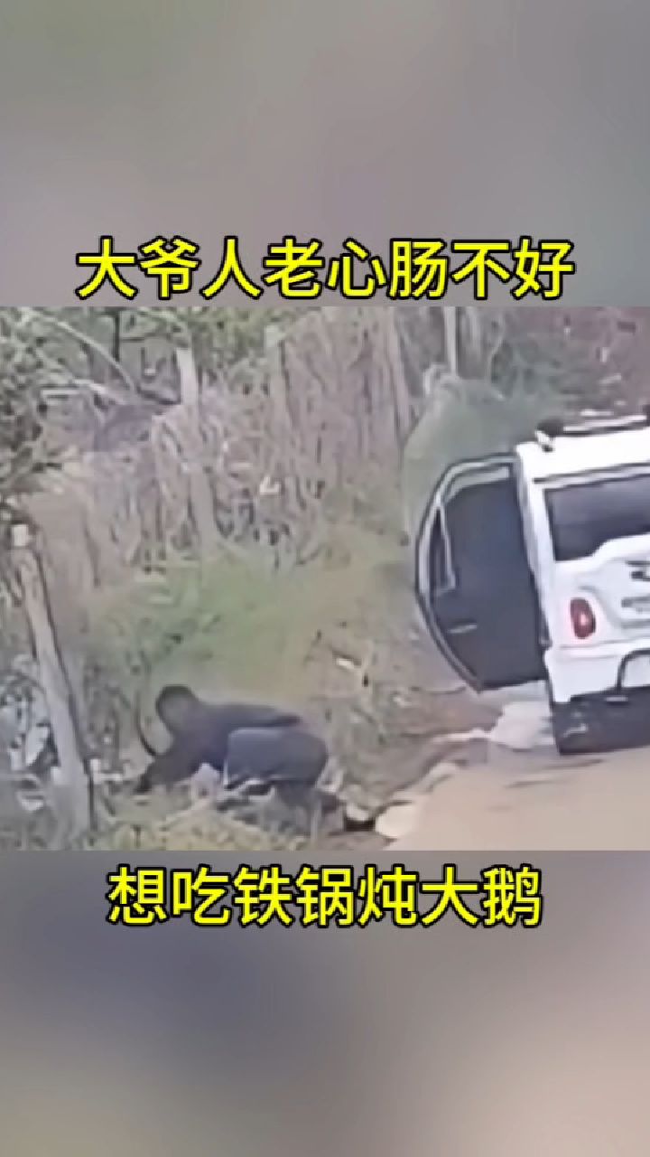 大爷人老心肠不好，想吃铁锅炖大鹅