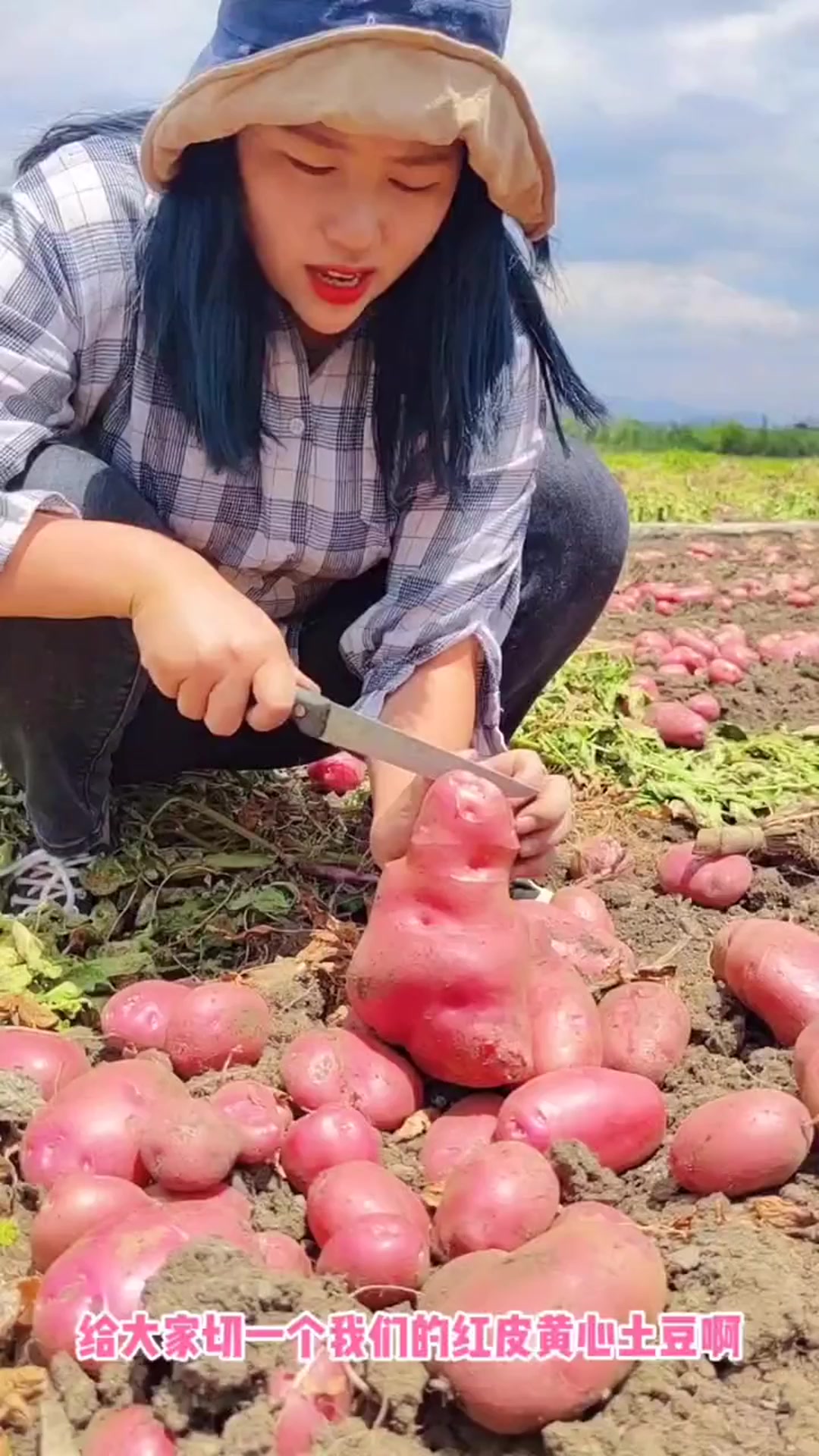 香甜可口解辣解腻,吃火锅烧烤必备它,云南红皮土豆解辣食材