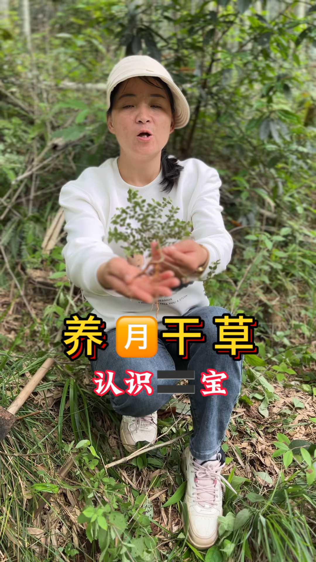 民间常叫的“黄矮脚”,就是稀少的“虎刺”,遇见别不认识