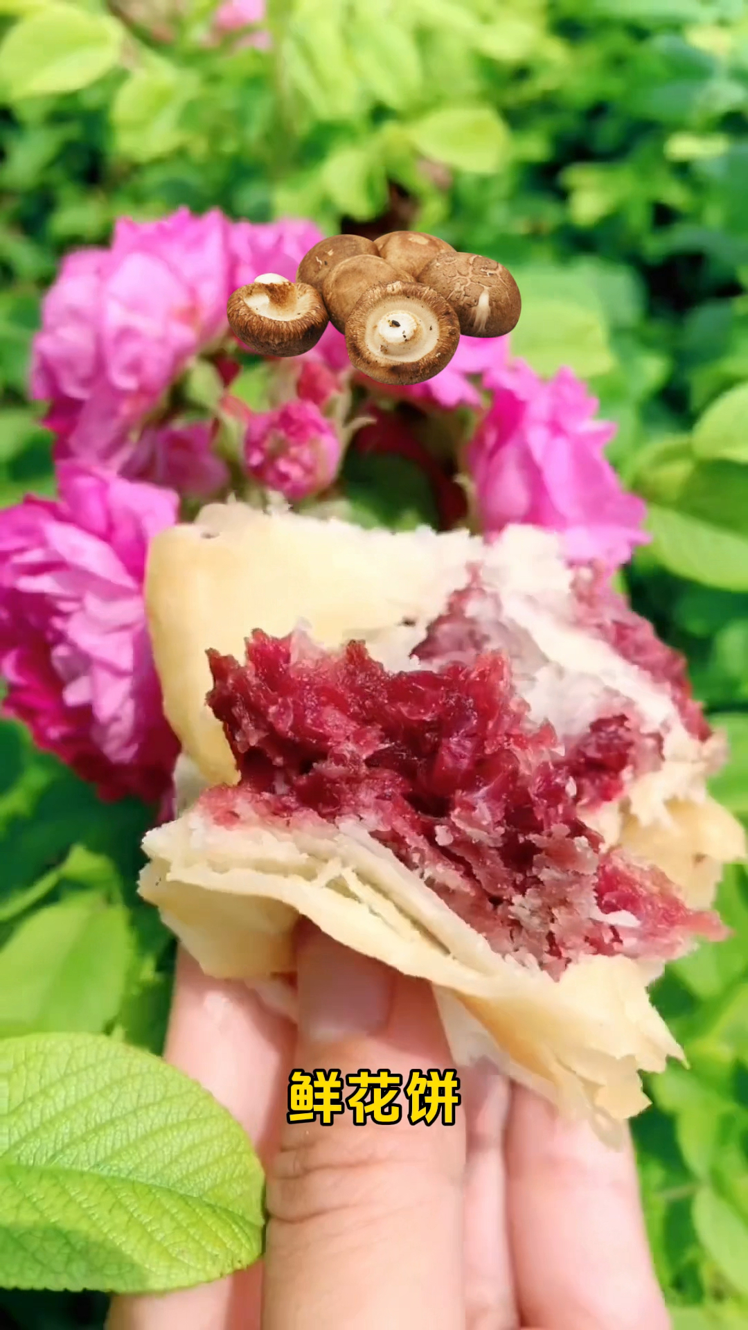 寻味云南，从这口鲜花饼开始