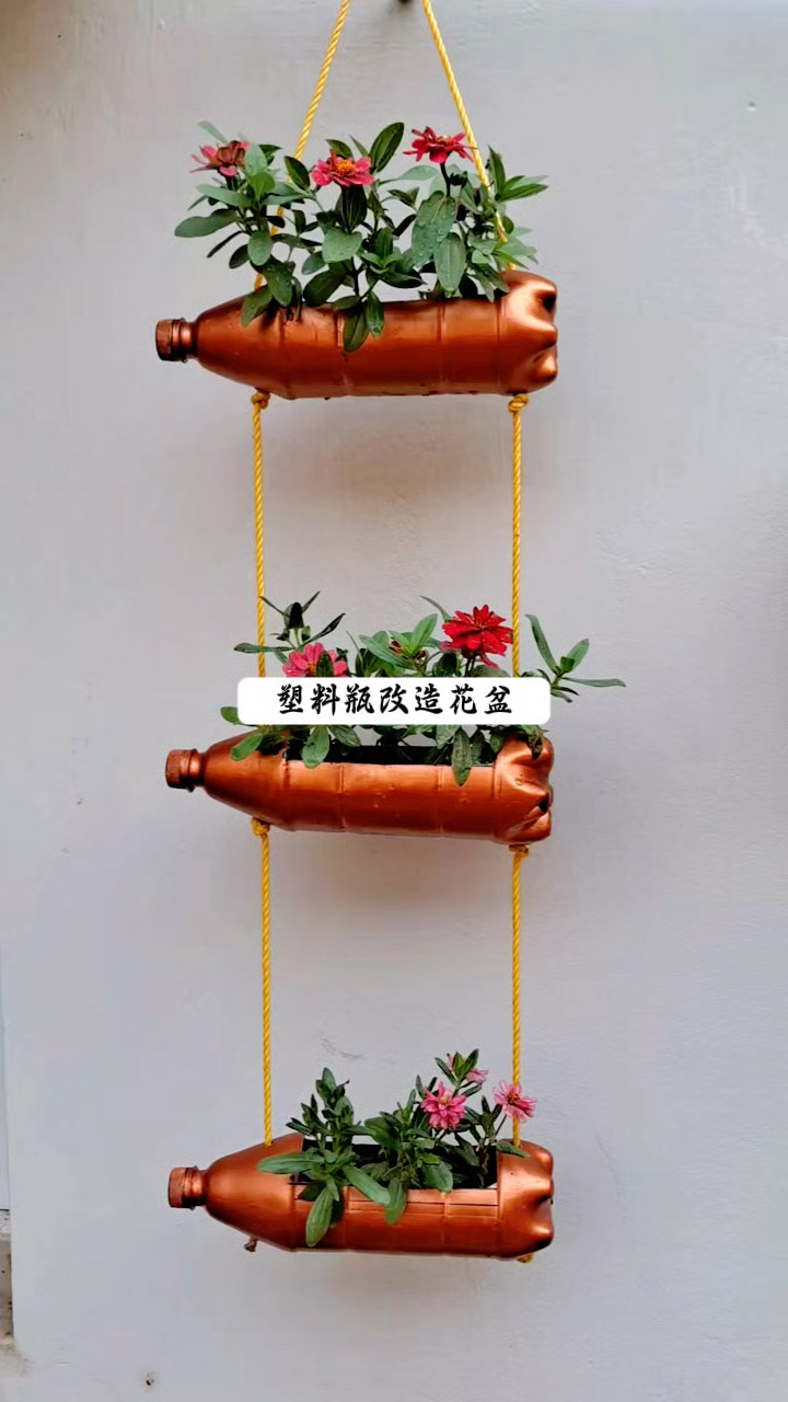 饮料瓶别扔了,改造成花盆