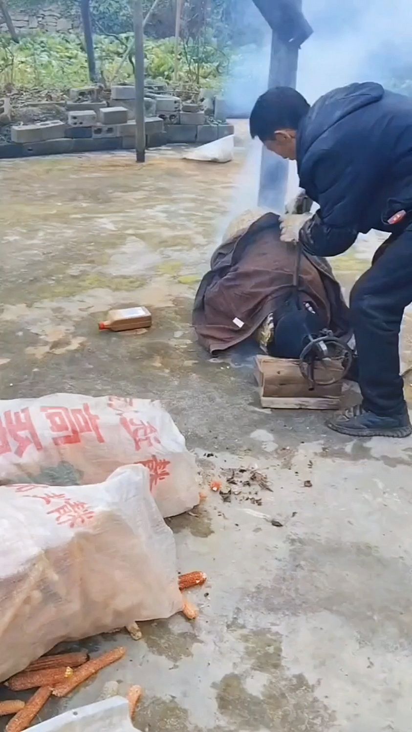 爆米花炉子卡住,威力惊人!