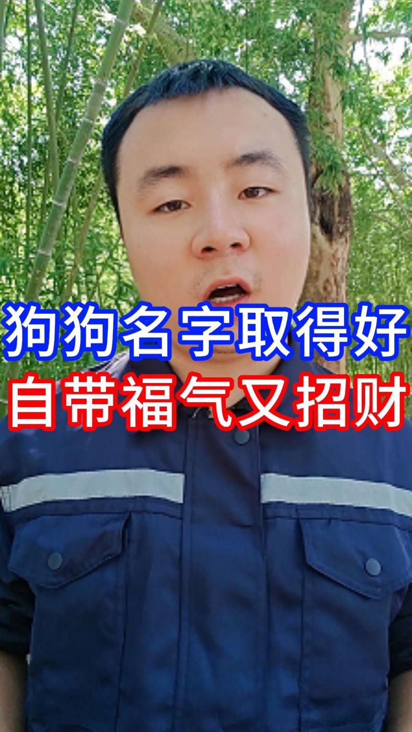 那些狗狗名字起的好的,不但主人顺风顺水而且还旺主人#狗狗