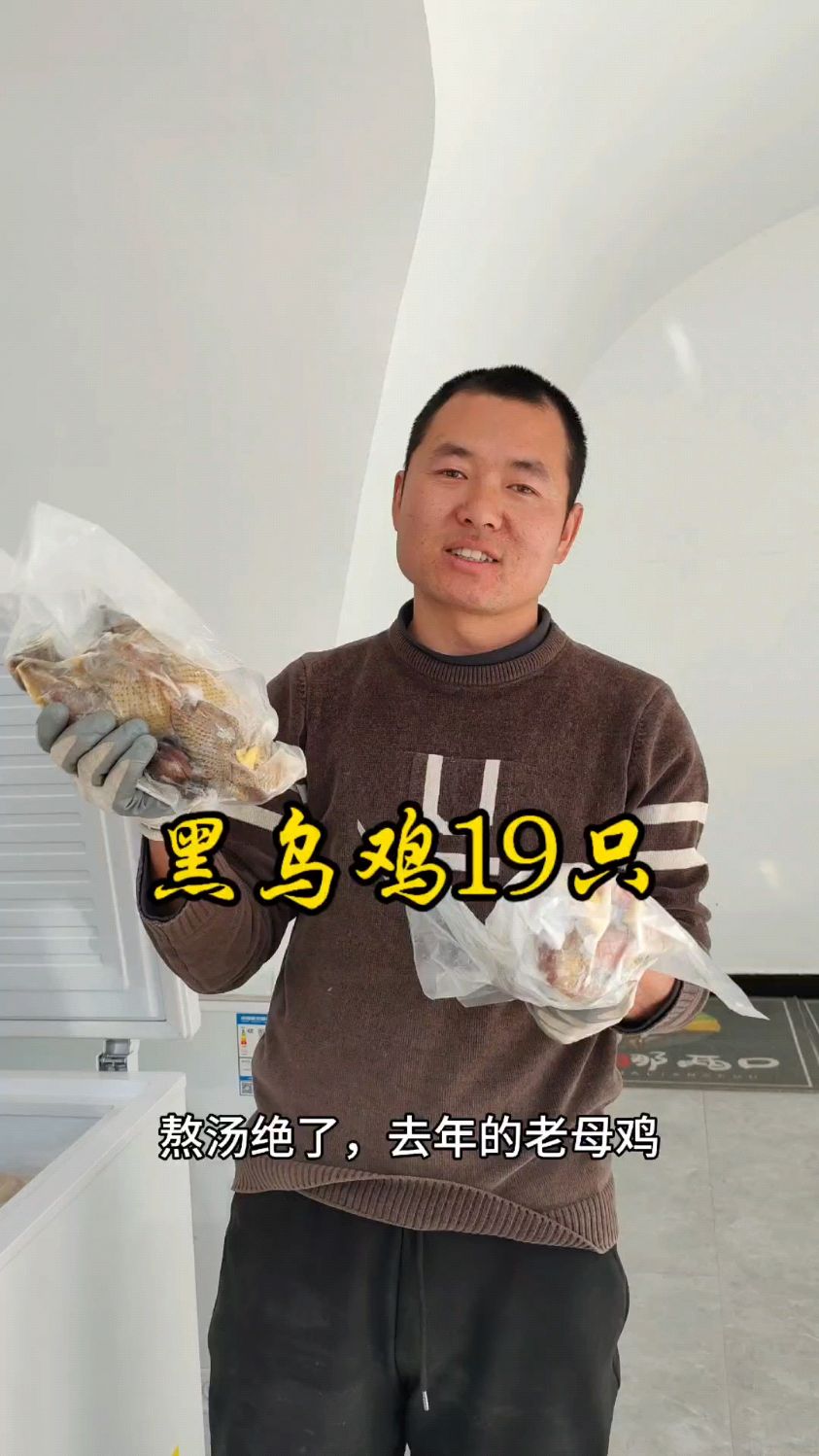最后19只黑乌鸡,适合熬汤