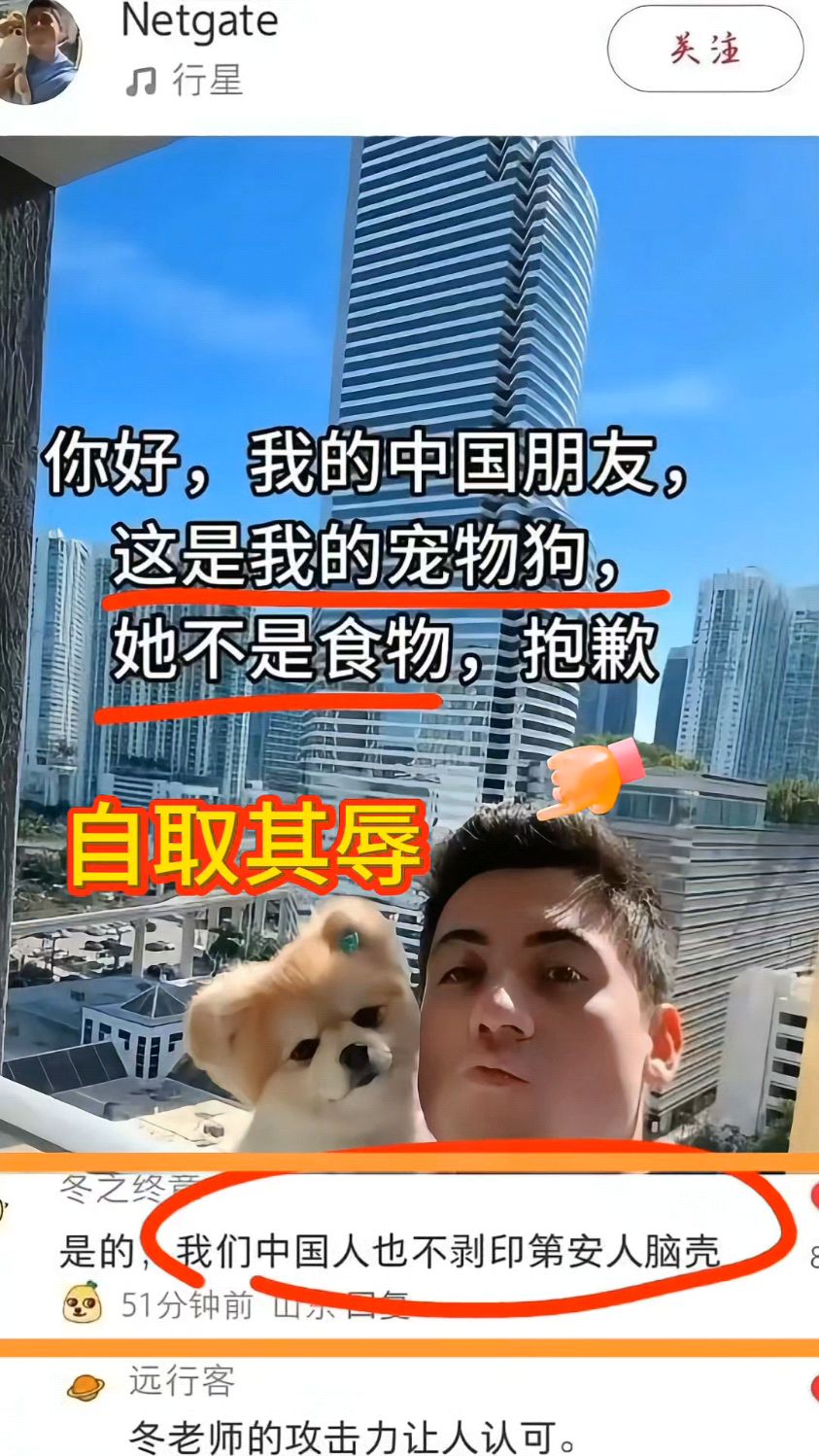 外国博主讽刺我们吃狗肉,被回怼到破防,其账号都搜不到了