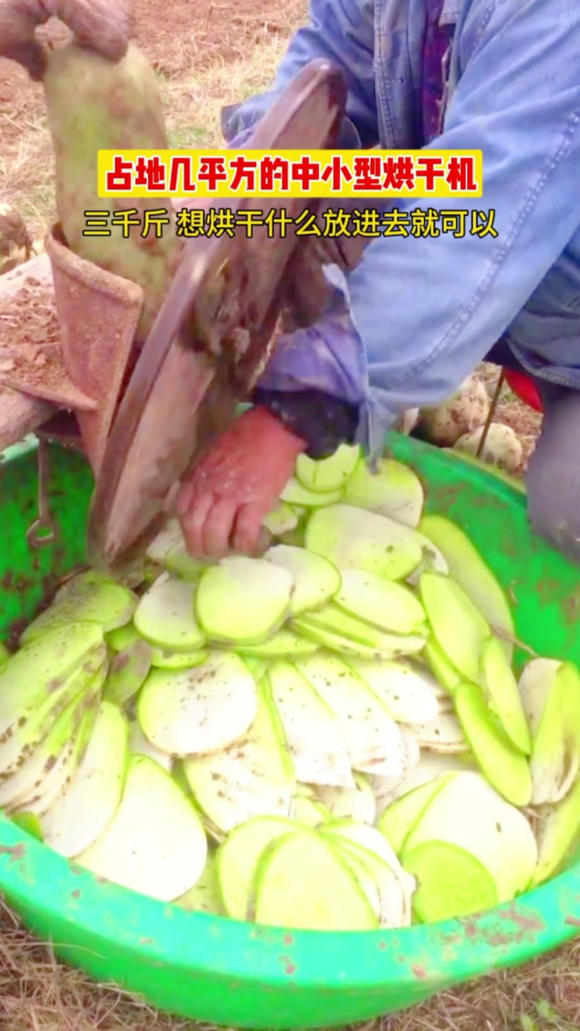 蔬菜烘干机,药材烘干机,萝卜烘干机