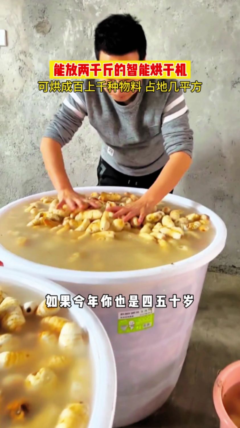 蔬菜烘干机，豆角烘干机，土豆烘干机