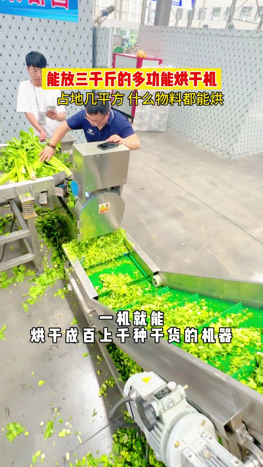 蔬菜烘干机,土豆烘干机,黄花菜烘干机