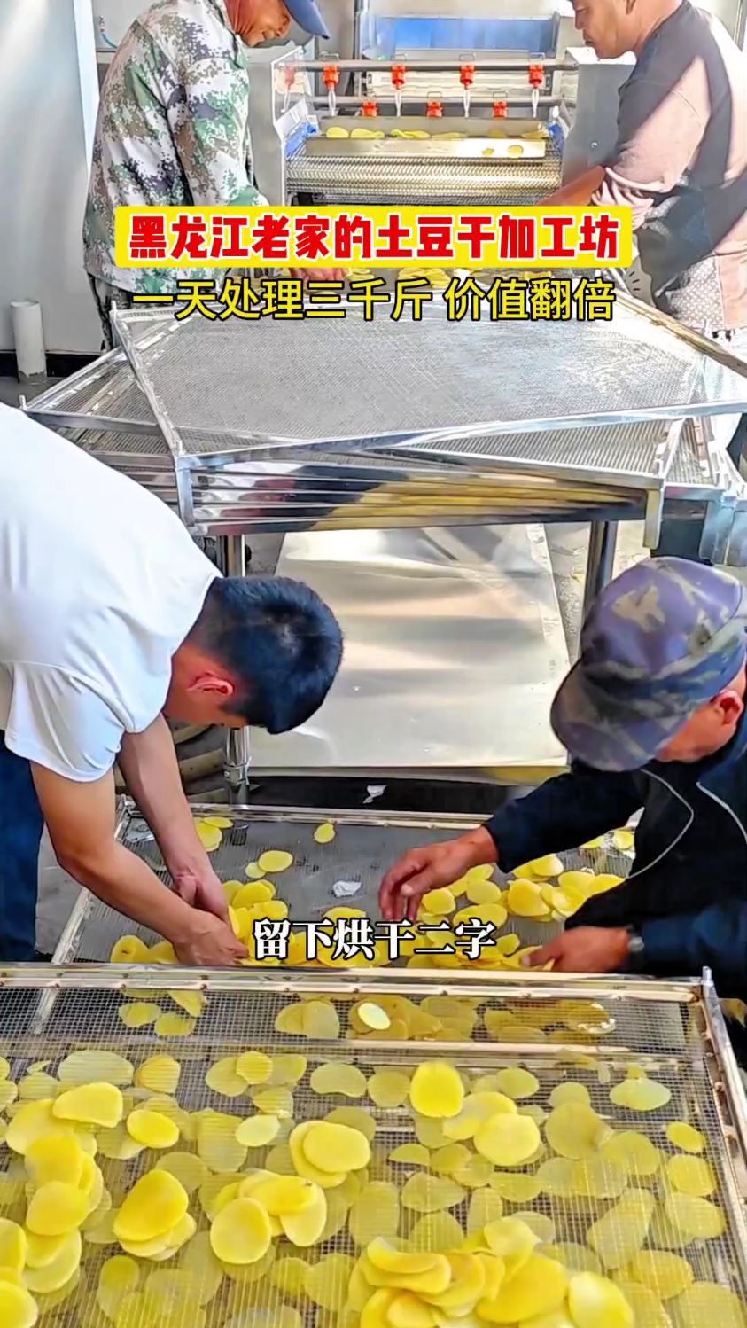 土豆烘干机,土豆片烘干机,蔬菜烘干机