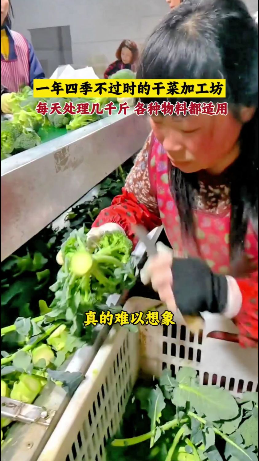 蔬菜烘干机,豆角烘干机,黄花菜烘干机