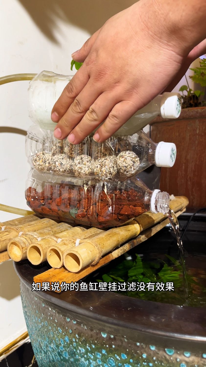 自制鱼缸三层滴流盒过滤,简单好用,今天又是省钱的一天。