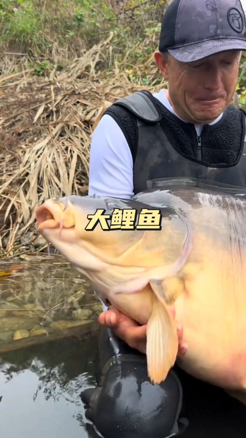 钓到一条巨大的鲤鱼,亚马逊果然是钓鱼佬的天堂,这是发财鱼