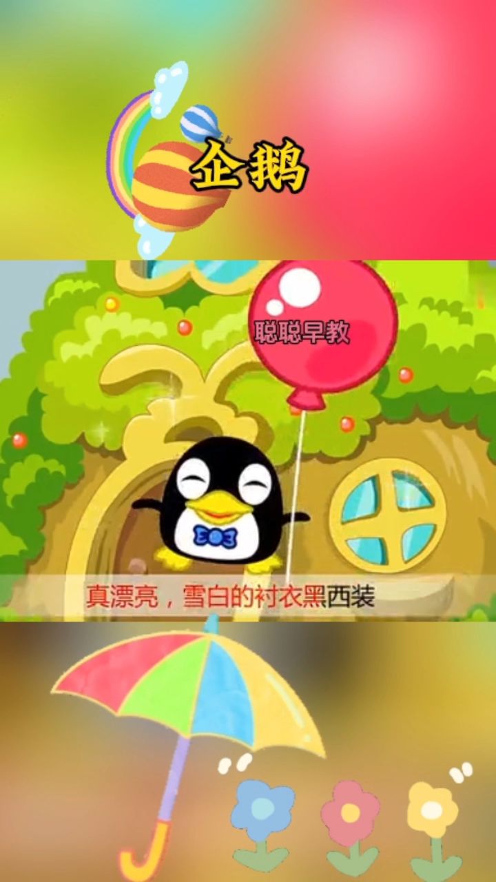 小企鹅真漂亮,雪白的衬衣 黑西装