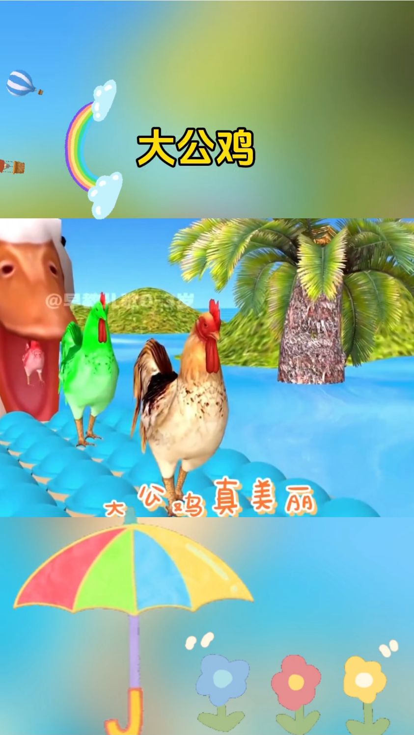 大公鸡真美丽,红红的鸡冠花外衣