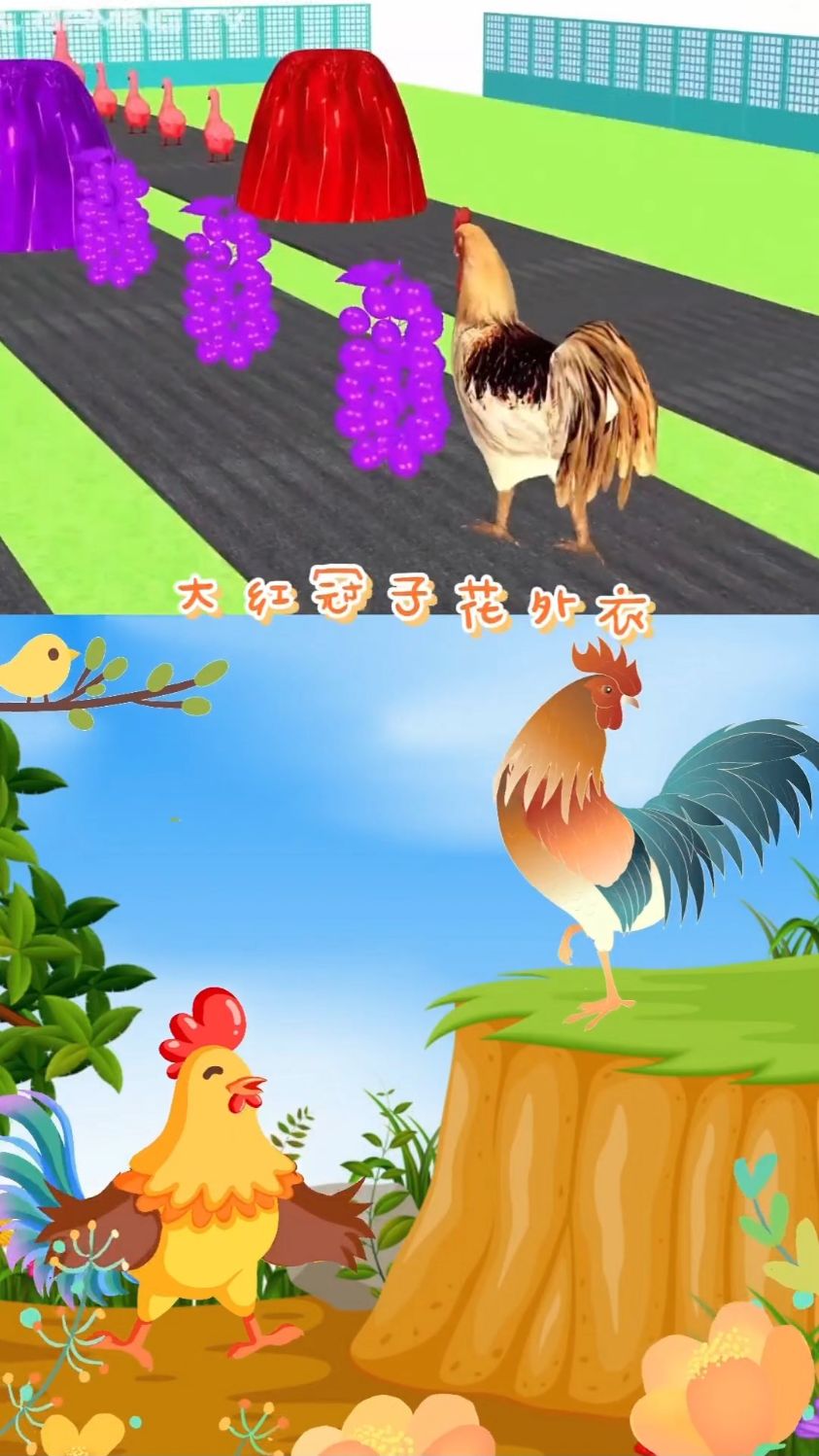 大公鸡,红红鸡冠花外衣