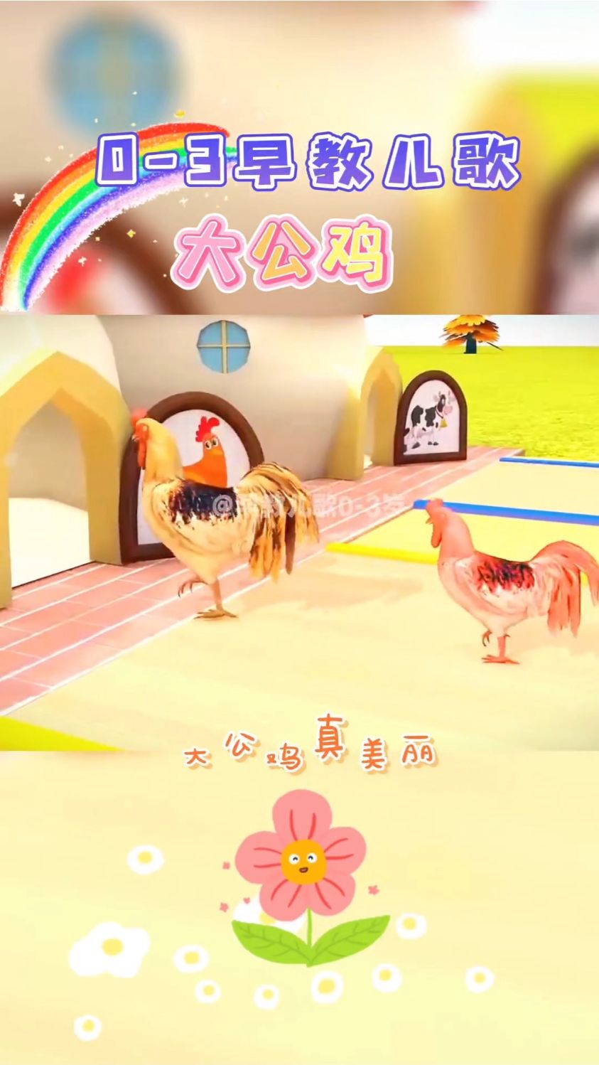 大公鸡真美丽!红红鸡冠花外衣