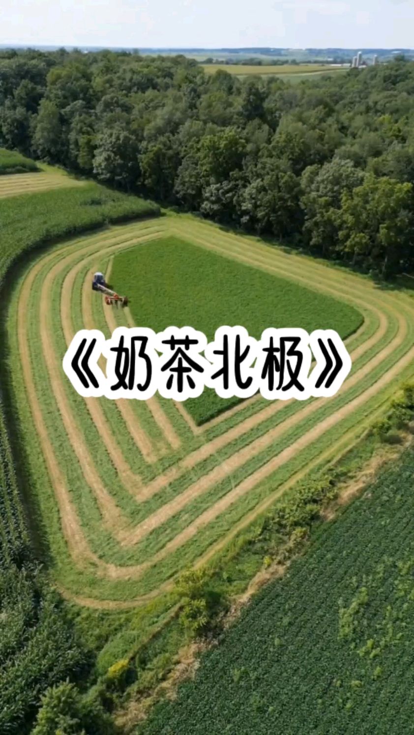 《奶茶北极》一场奶茶引发的血案