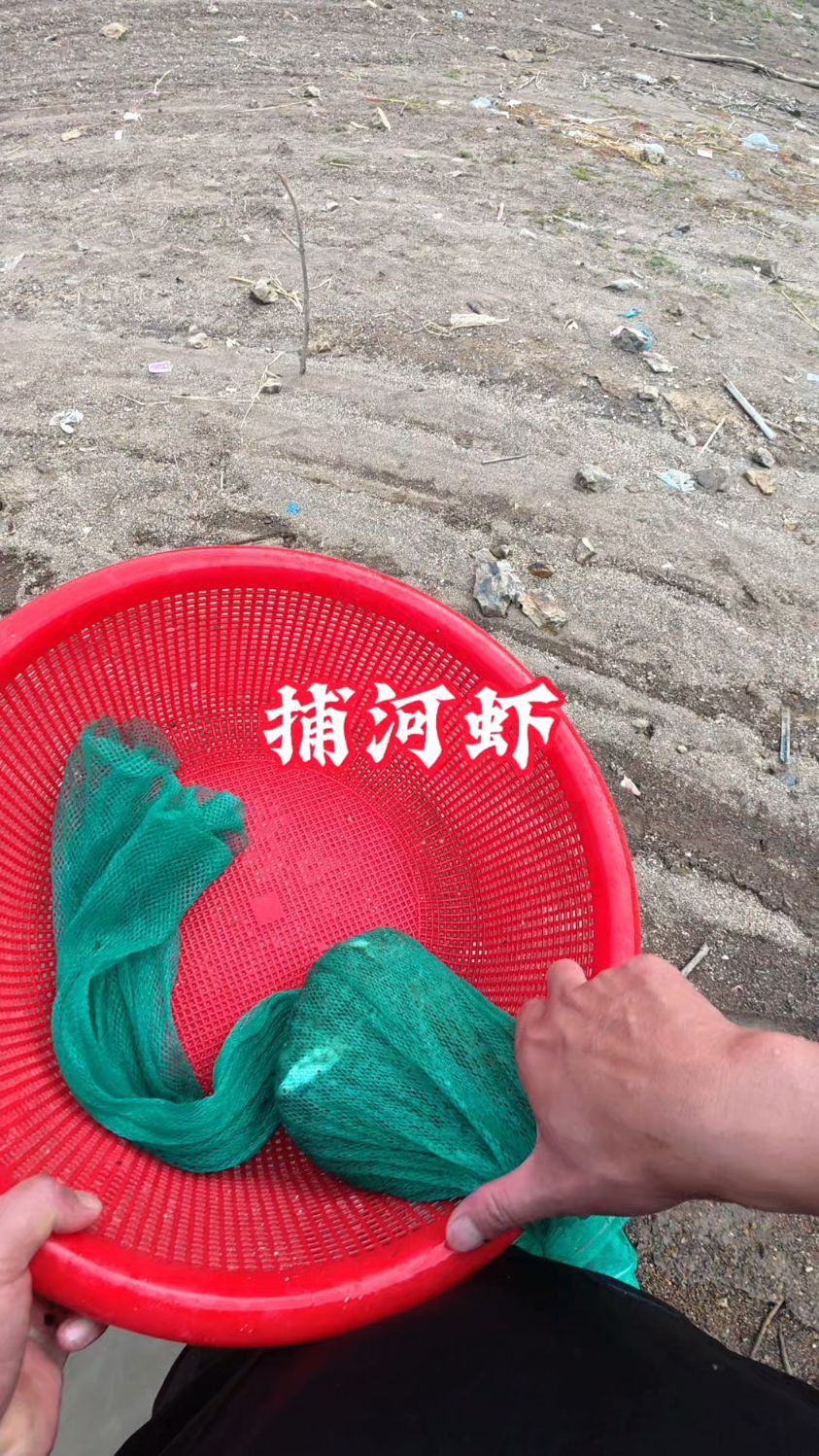 四个笼子两斤多河虾,是否能够及格