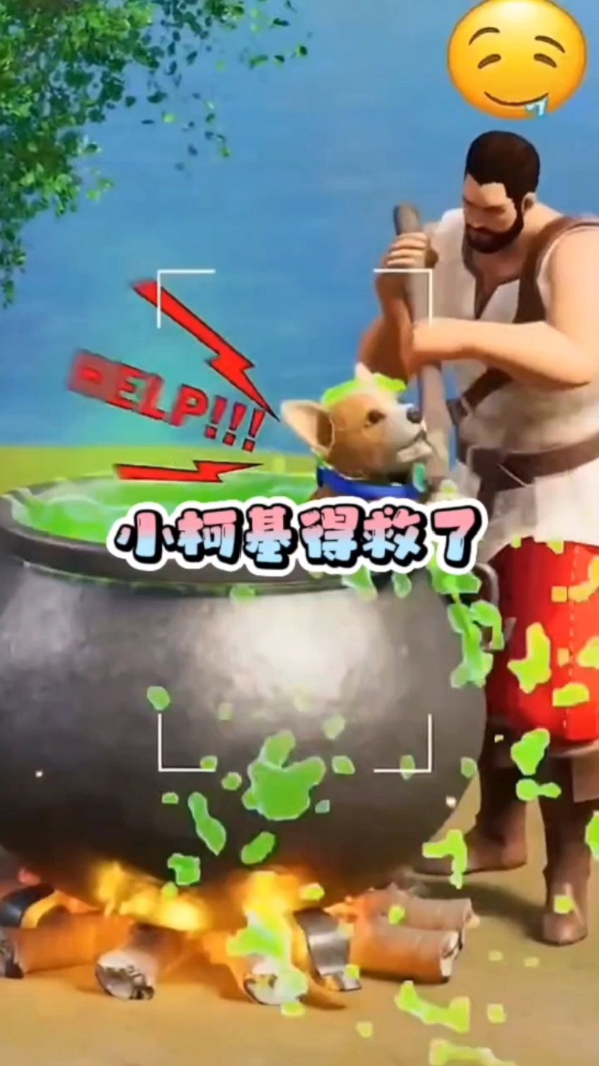 小柯基又得救了呀