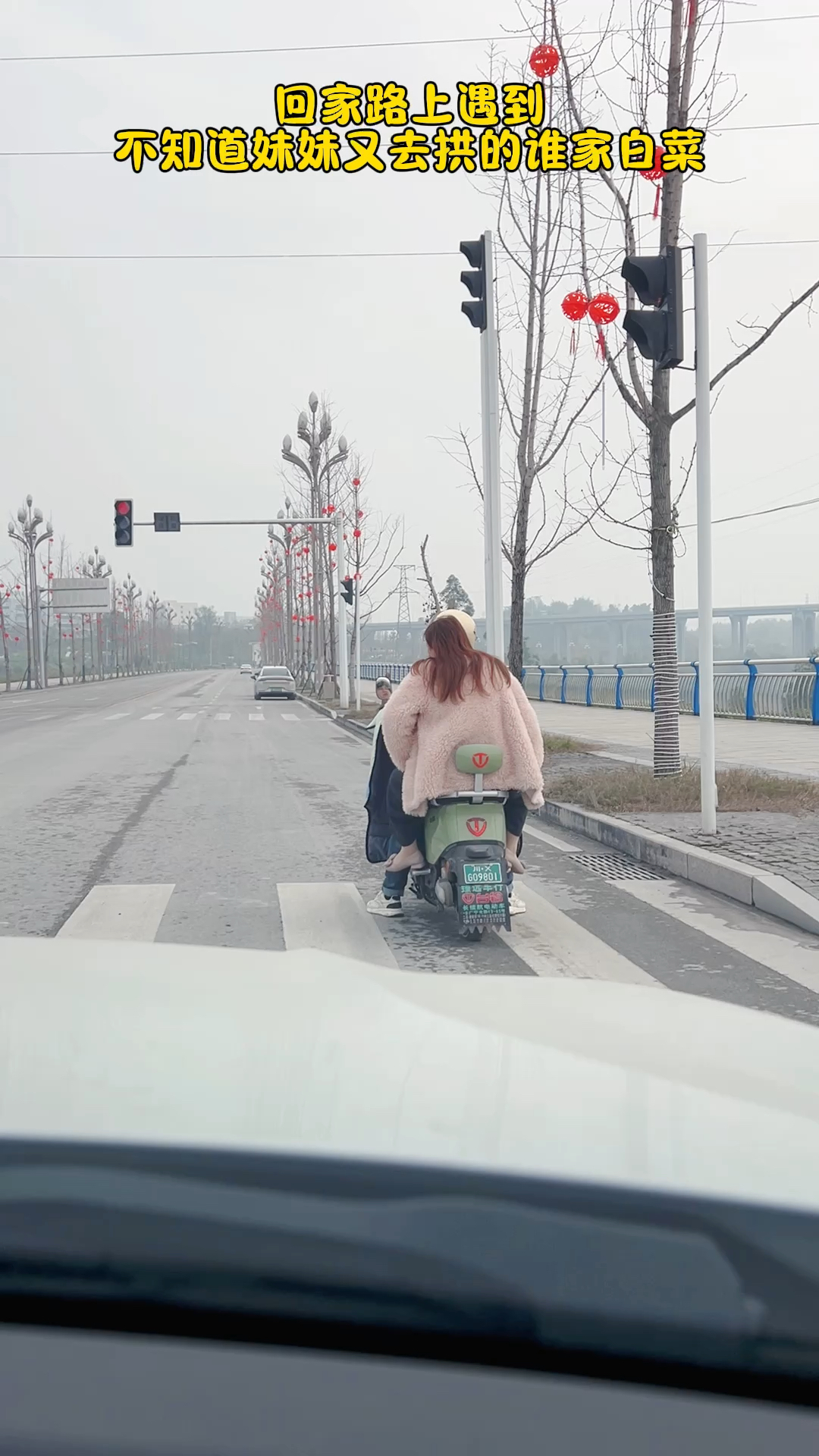 下班回家路上碰到,不知道谁家的白菜被我家猪拱了? #搞笑段子
