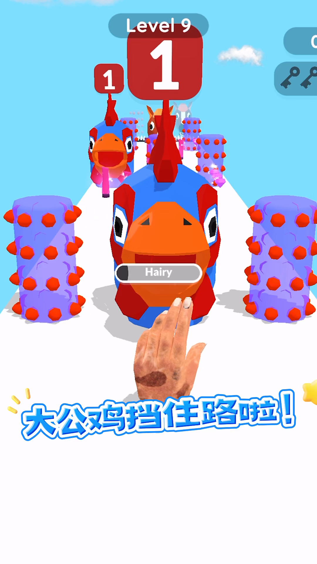 大公鸡怎么挡路啦!