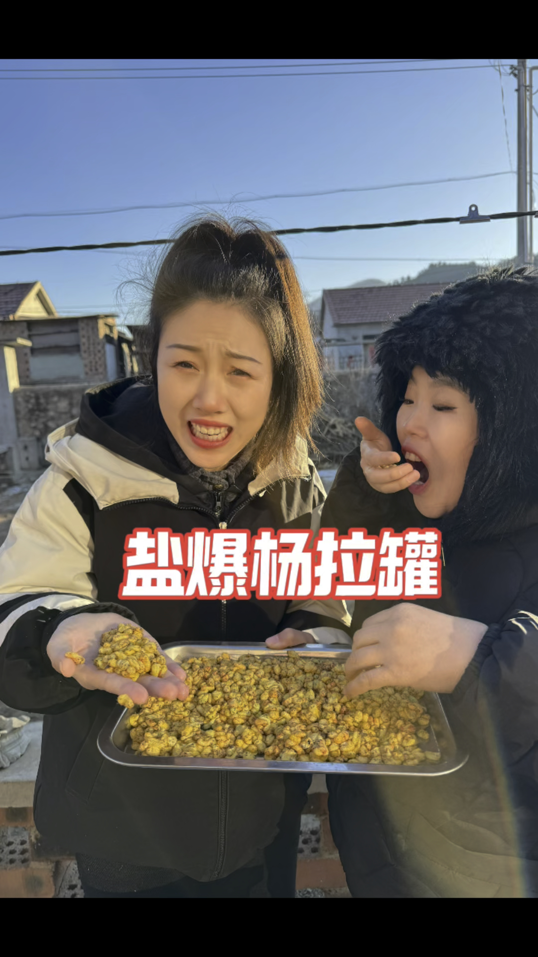 洋辣子有多少人吃过?今儿用2000多个杨拉罐做一道菜盐爆杨拉罐