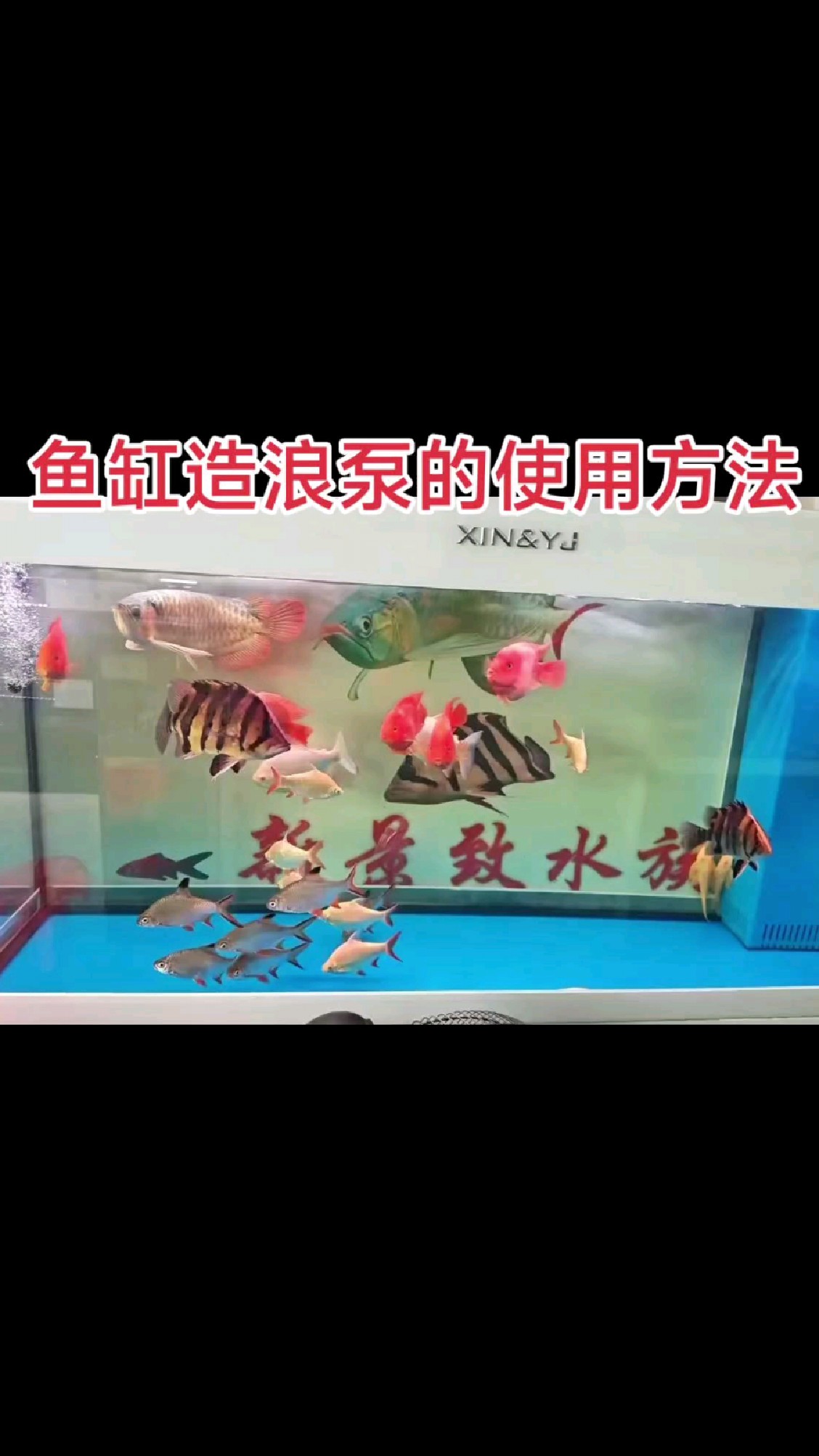 鱼缸造浪泵的使用方法,个人看法仅供参考!