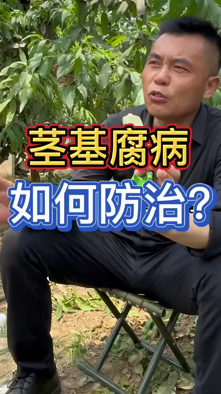 茎基腐病如何防治?