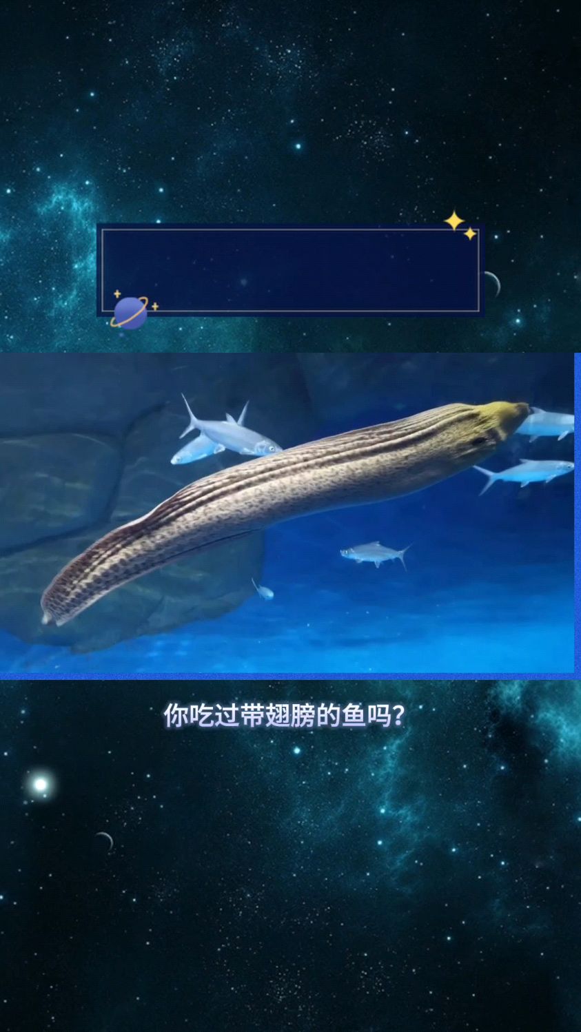 你吃过带翅膀的鱼吗?