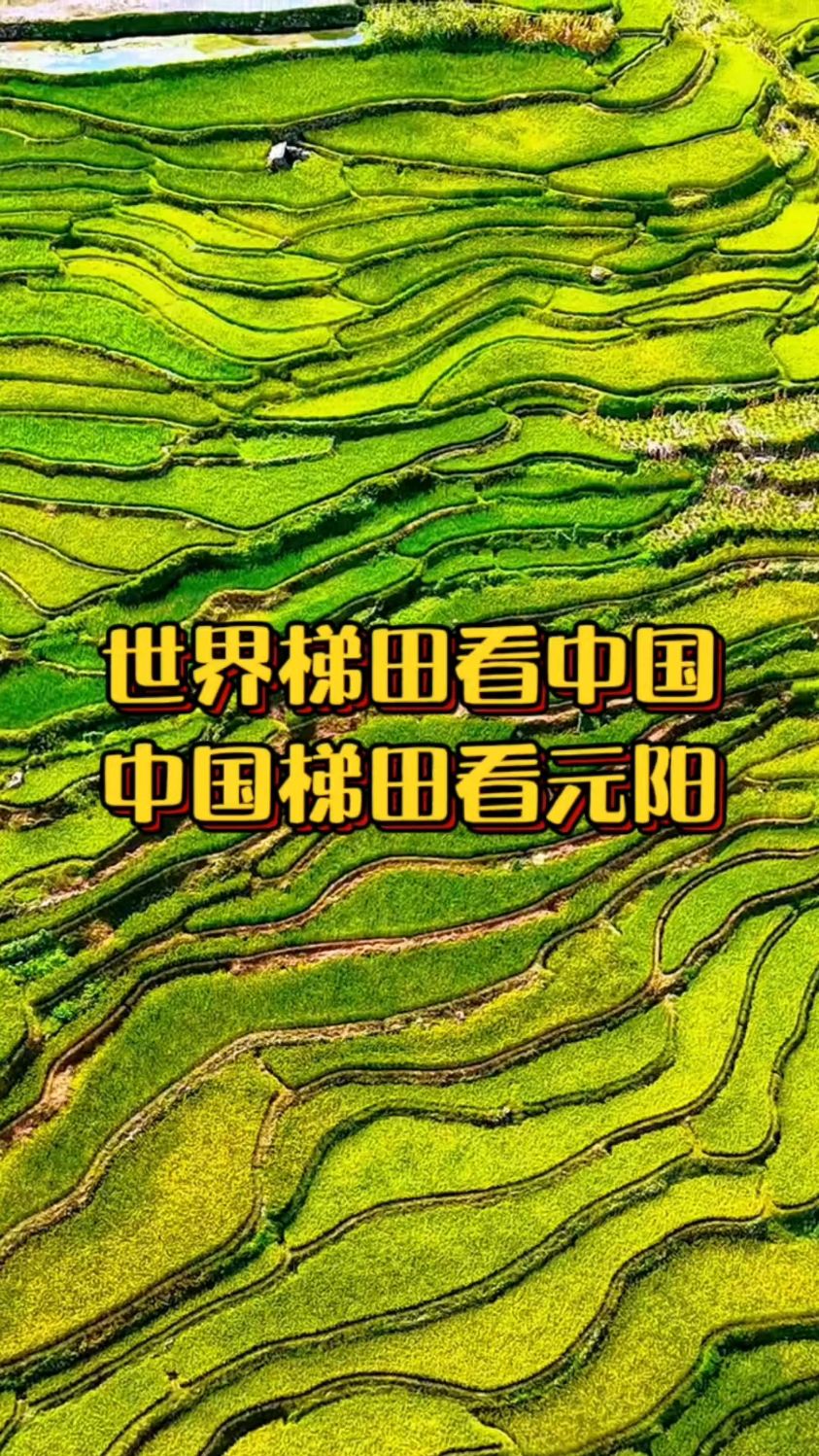 世界梯田看中国,中国梯田看元阳#云南元阳梯田#滇东南美景分享