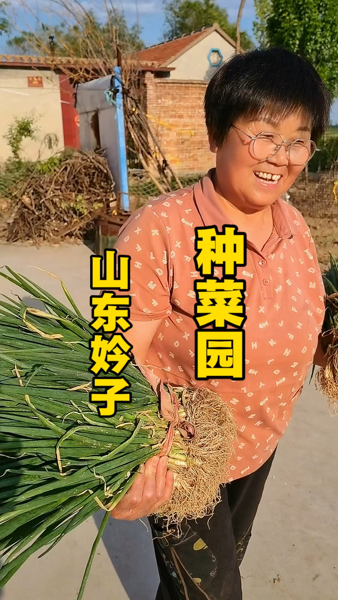 妗子的乡村小菜园里自种了二十多种蔬菜