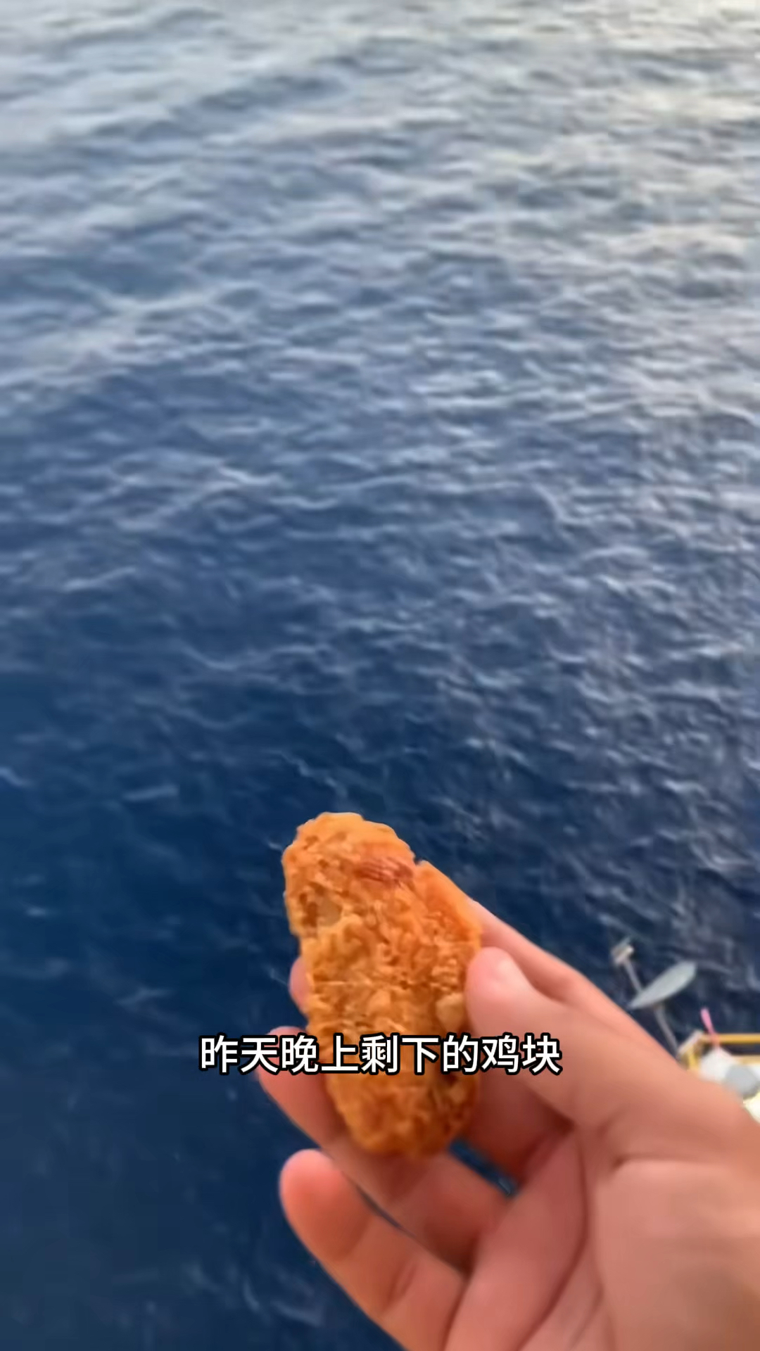 把昨天晚上剩下鸡块放到大海里面喂鱼