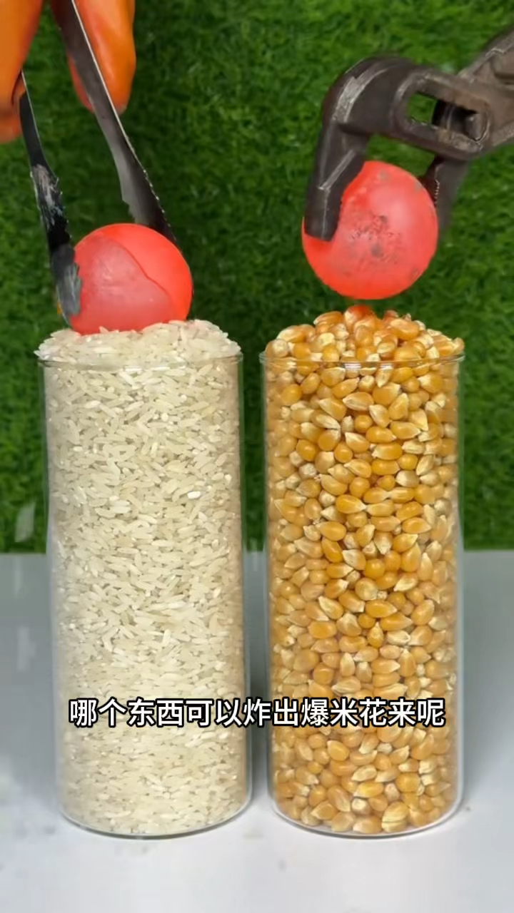 看看哪个东西可以炸出爆米花呢