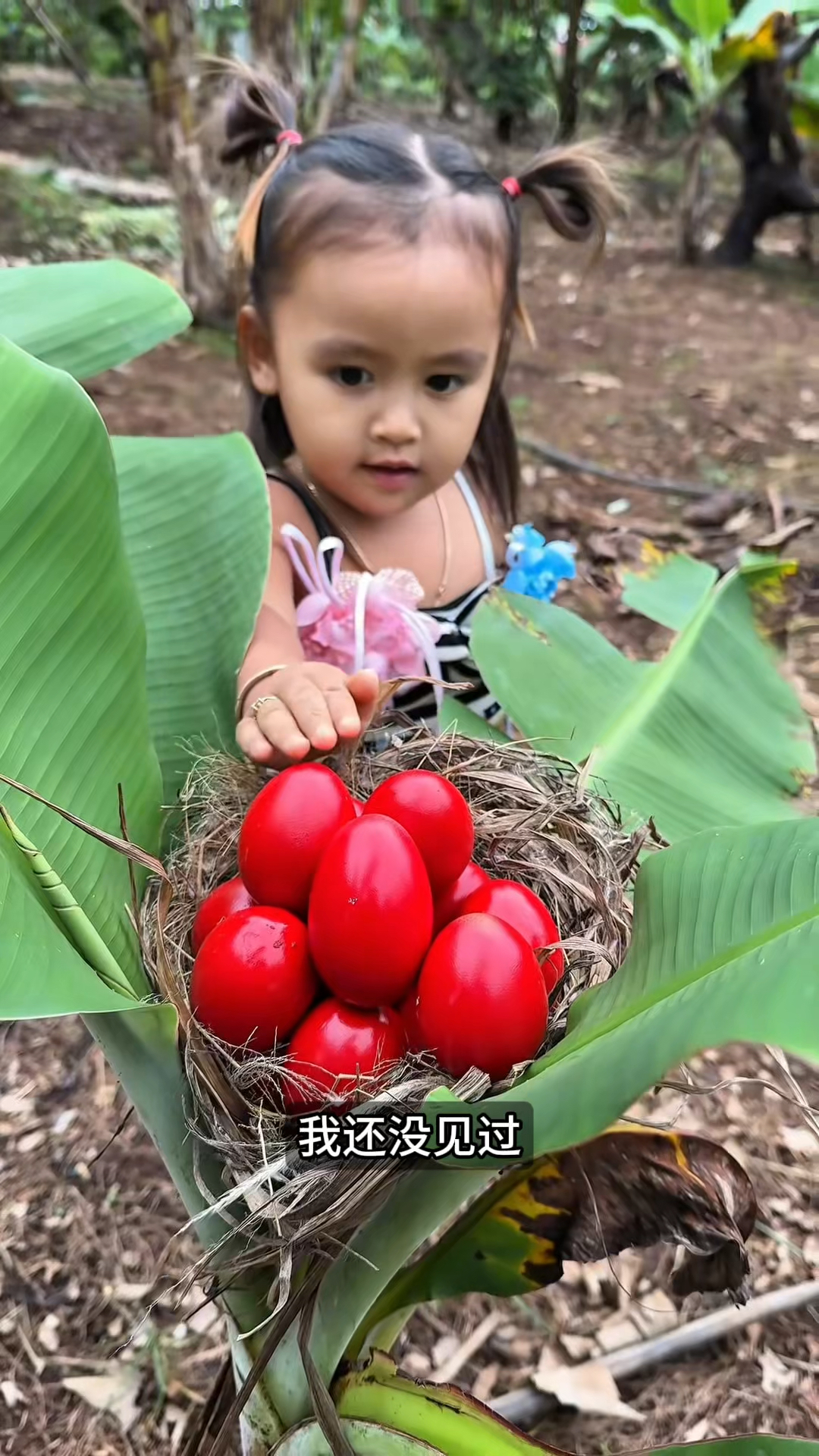 这个红色的鸡蛋还可以吃