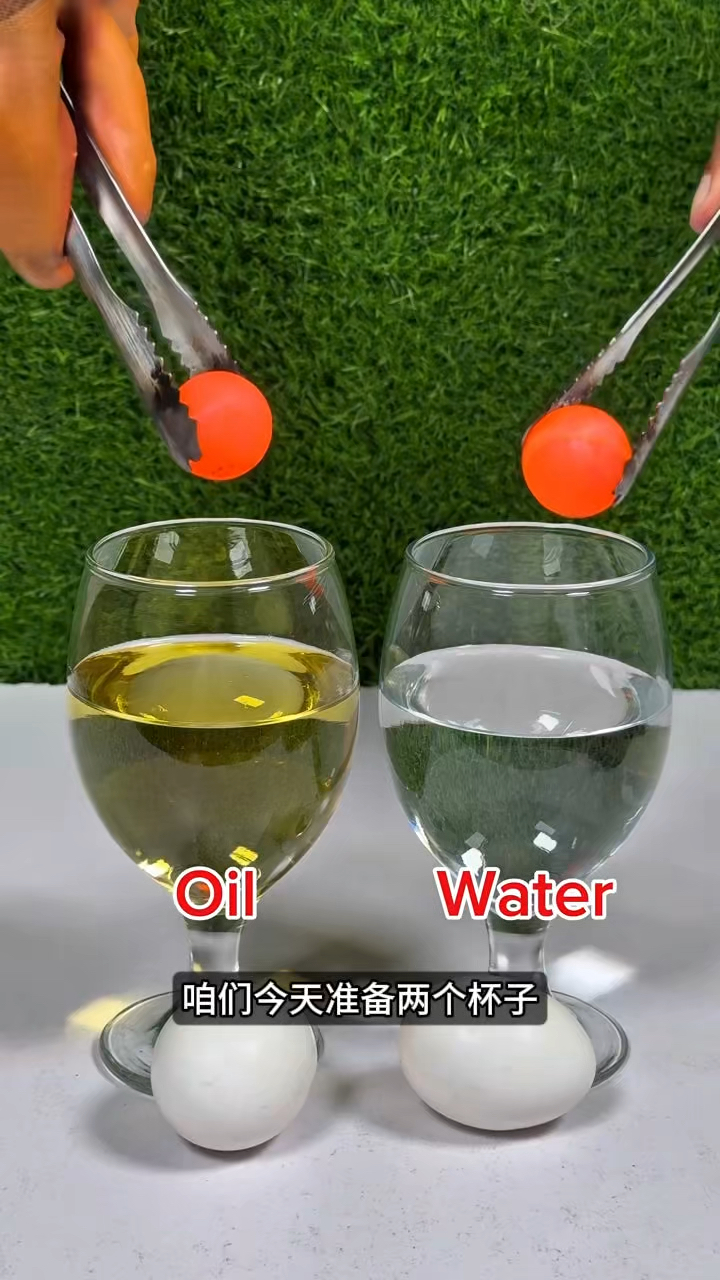 看看杯子里面能不能煮鸡蛋呢？
