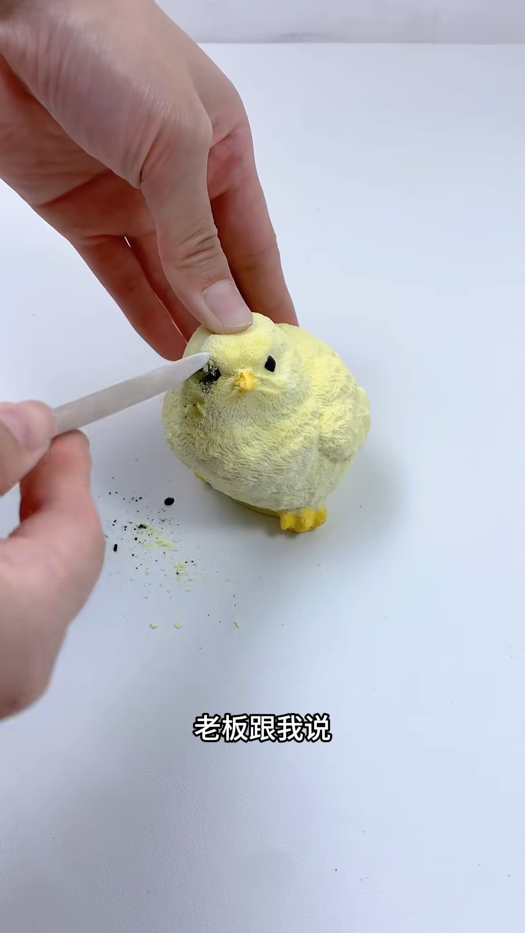 这样的小鸡仔玩具你们有吗