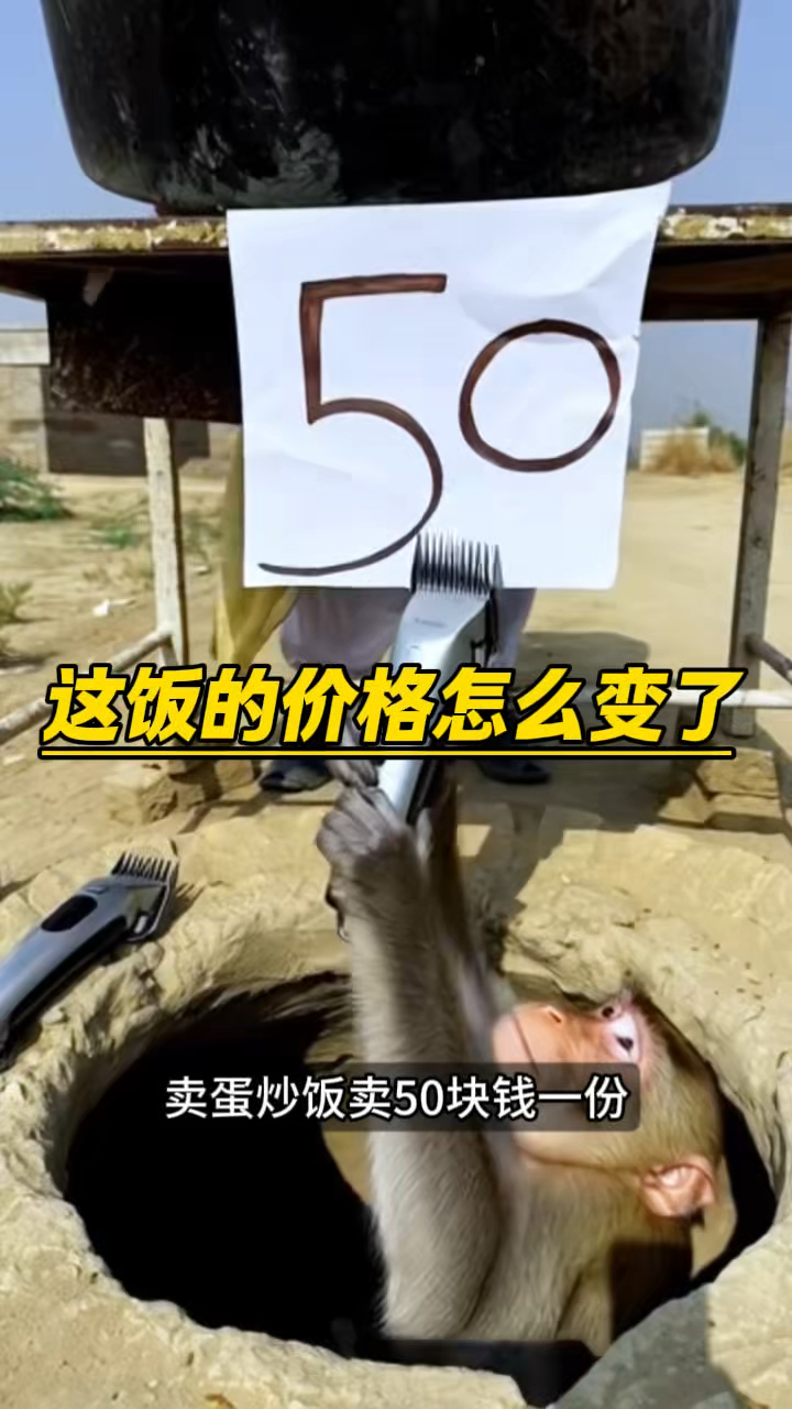 这个蛋炒饭的价格怎么变了呢