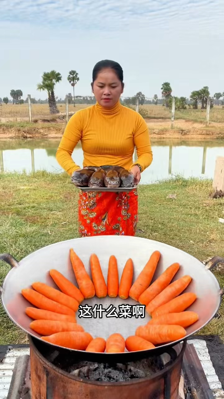 这个胡萝卜炖鲇鱼，你们吃过吗？