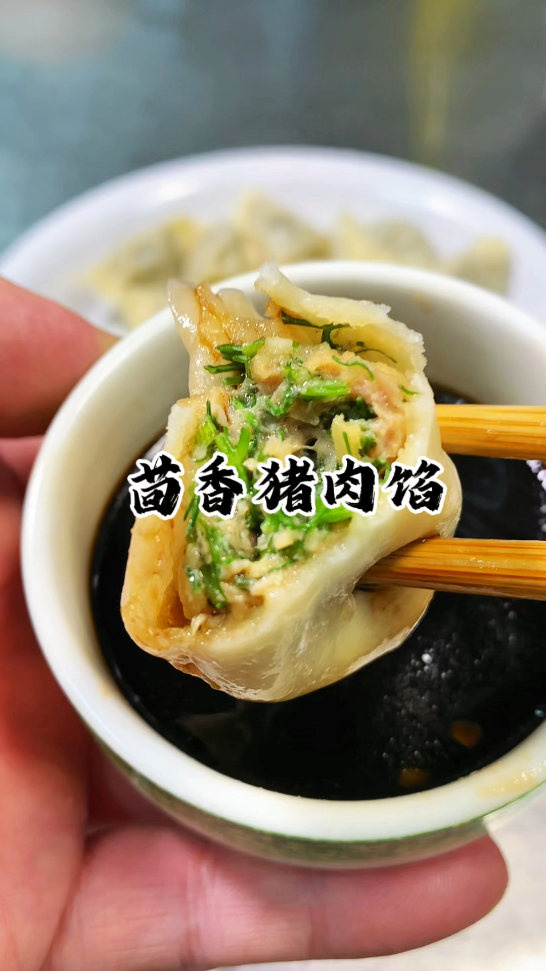 茴香猪肉馅你就像我这样调 操作简单 鲜嫩多汁 茴香味十足