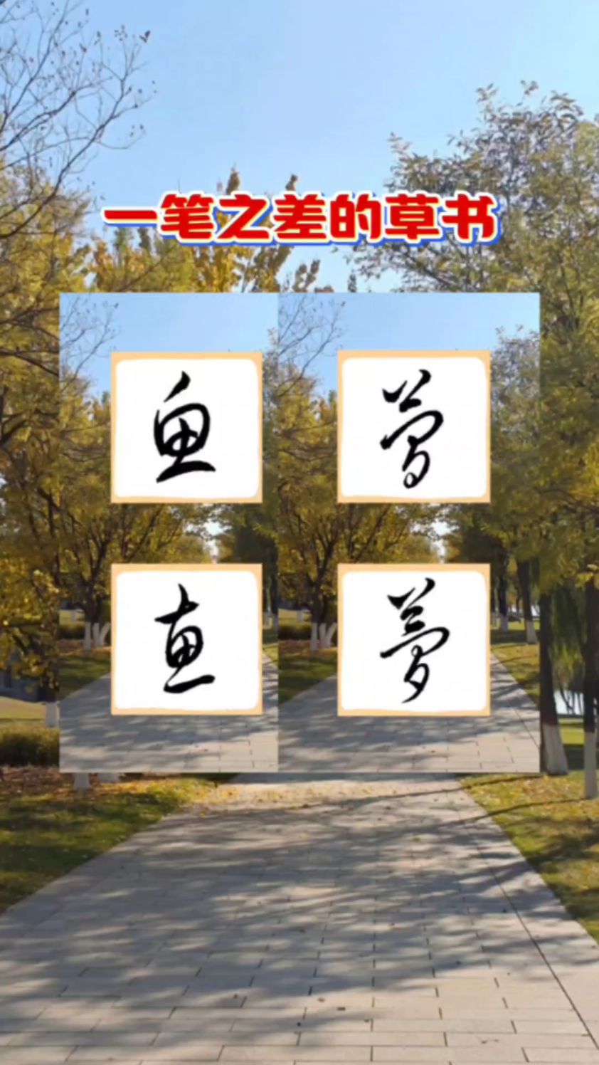 一笔之差的草书，鱼、惠等字的草书写法。