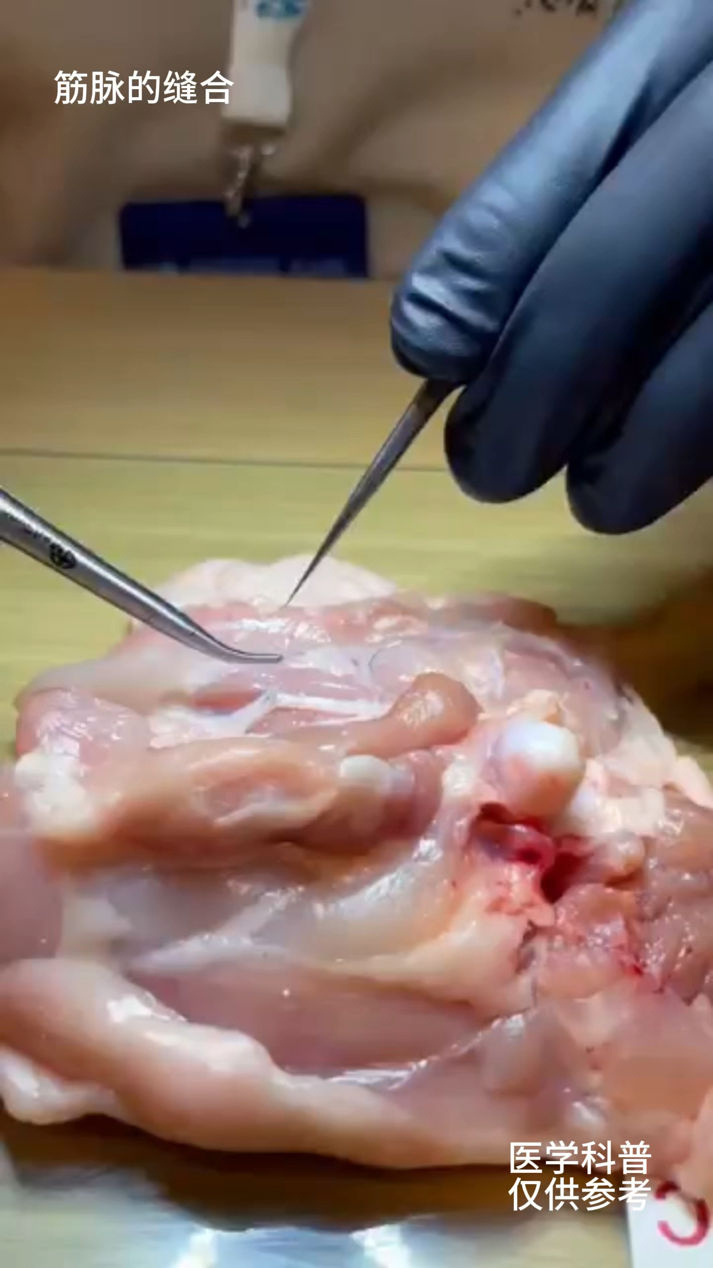 医学生用猪肉里面的血管进行缝补