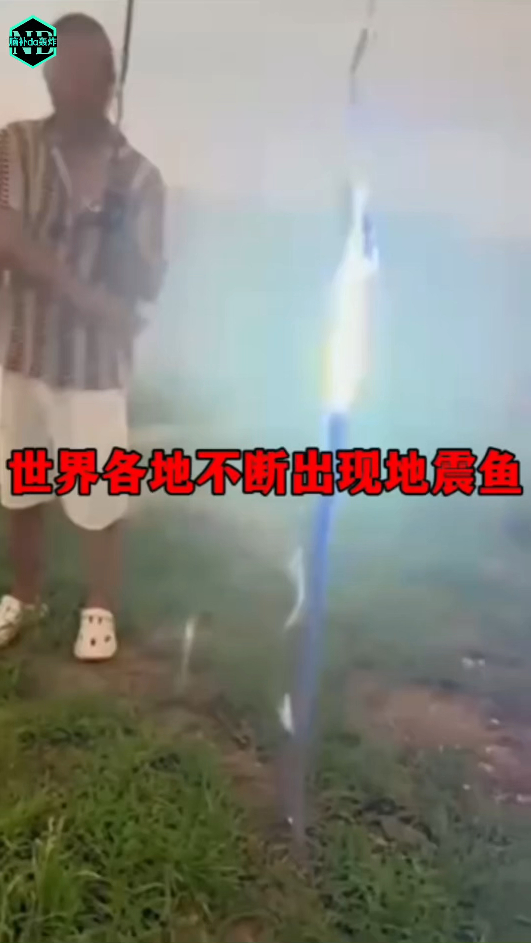 全球各地不断出现“地震鱼”!