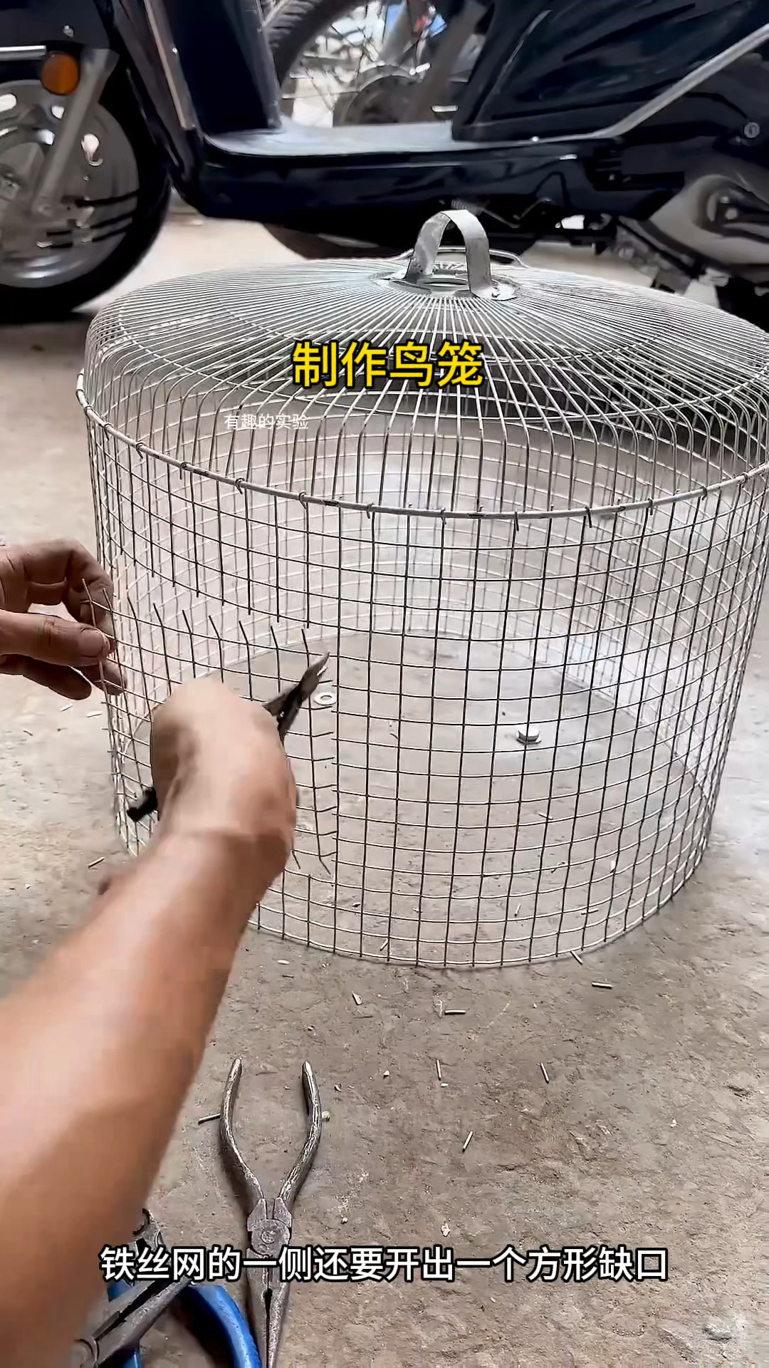 万万没想到鸟笼还能这么制作,太厉害了