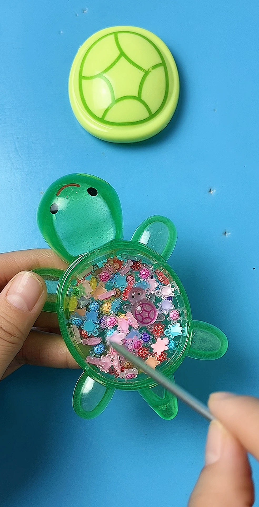 绿色乌龟在哪里,你看见了吗