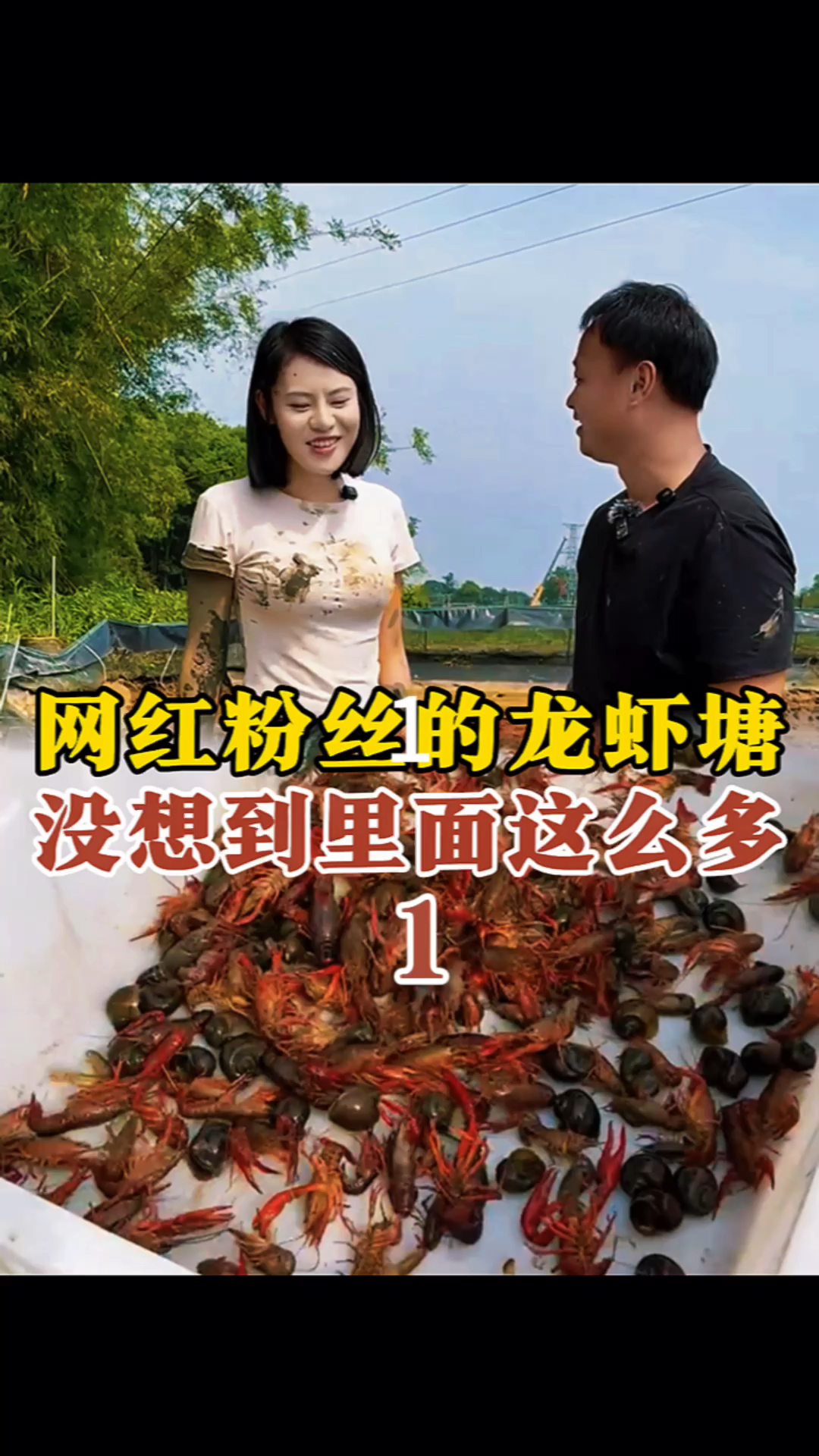 花1000元包下两百万粉丝女网红的龙虾塘,没想到她...