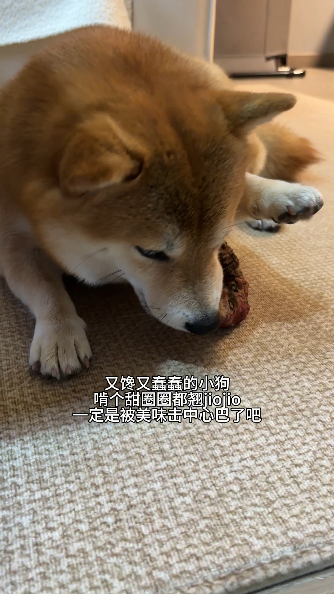 吃到上头的双拼甜甜圈